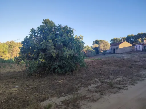 Quinta com moradia para recuperar na zona de Abrantes