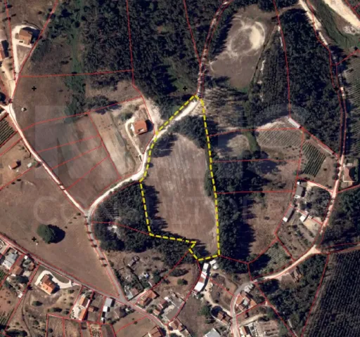 🌳 Mixed Land - Surraipas, Parish of Olhalvo (Alenquer)