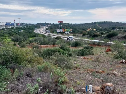 Bonito lote de terreno Rustico