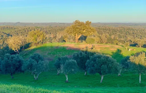 Herdade  com 40,85 hectares em São Bartolomeu da Serra, Santiago do Cacém