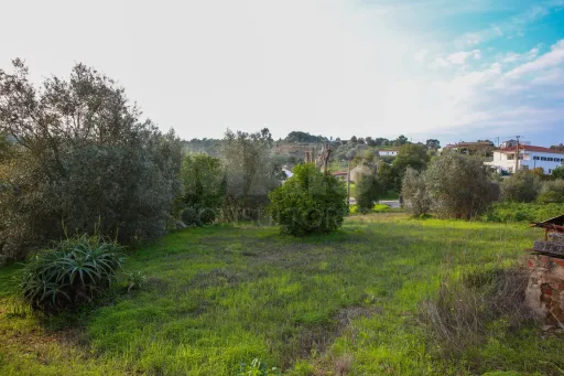 🏡 Oportunidade Única: Moradia Centenária inserida em lote 2560m2
