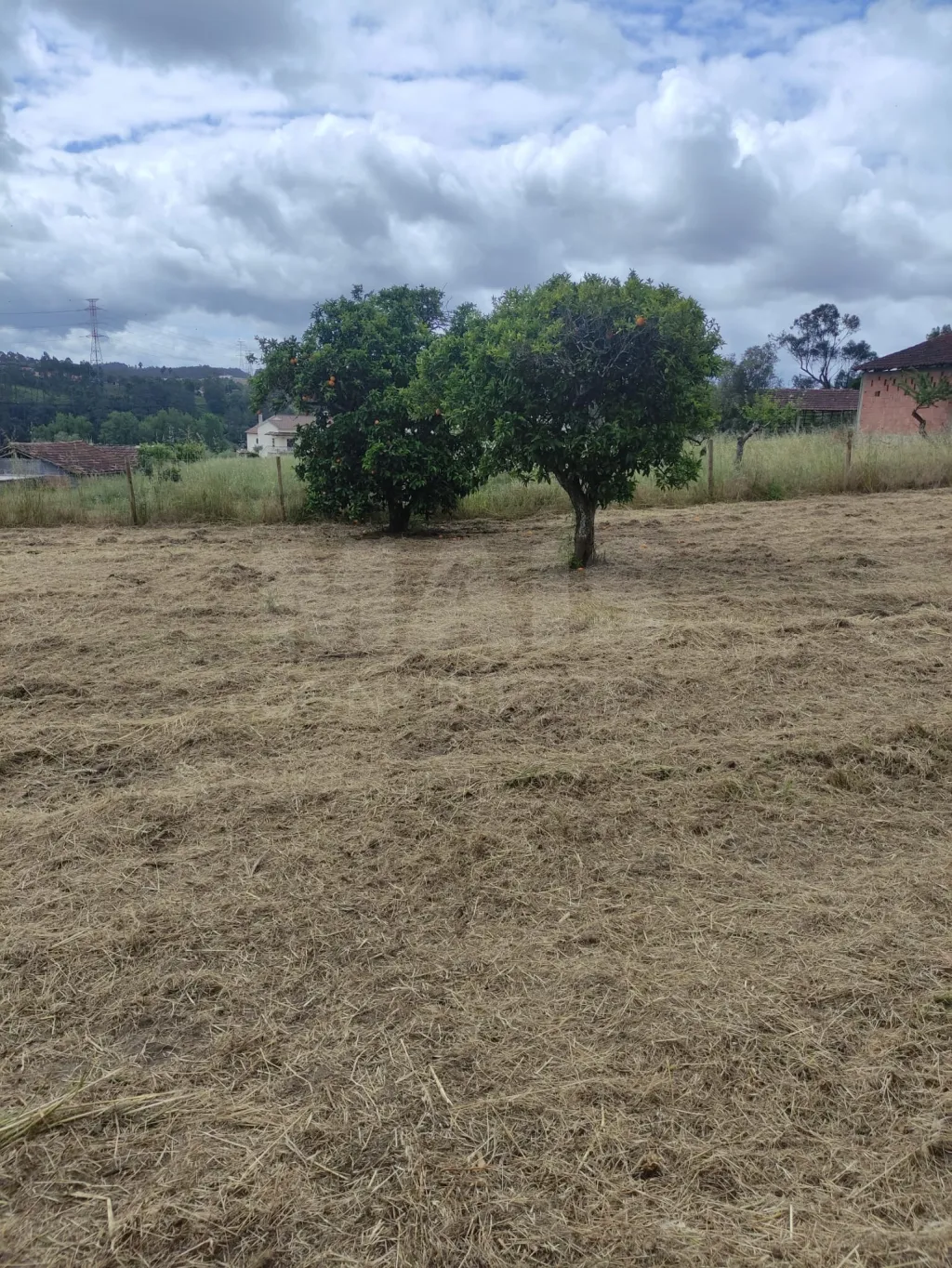 Lote de Terreno em Leiria