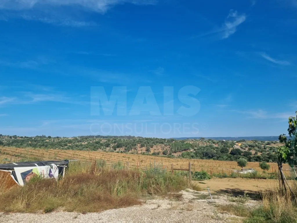 QUINTA, em  Casas Novas  - MOURISCAS -ABRANTES