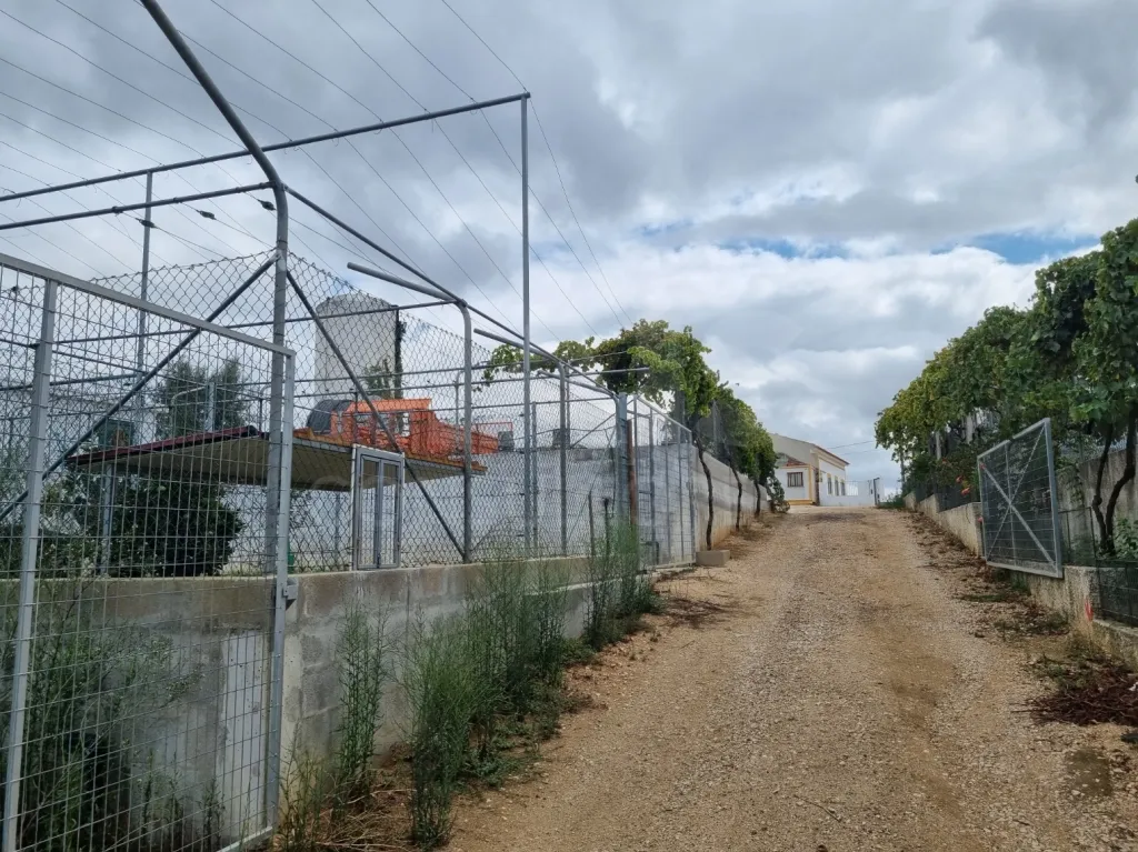 QUINTA, em  Casas Novas  - MOURISCAS -ABRANTES