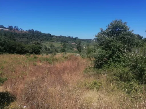 Terreno Rustico Em Sobral De Monte Agraço