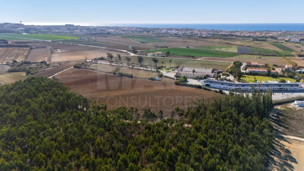 Parcela de terreno rústico de 2.350m2 em Atouguia da Baleia
