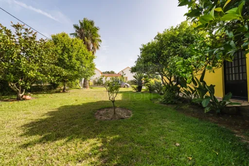 Propriedade única, a apenas 2 km de Alcobaça, com mais de 30.000 m² de terreno