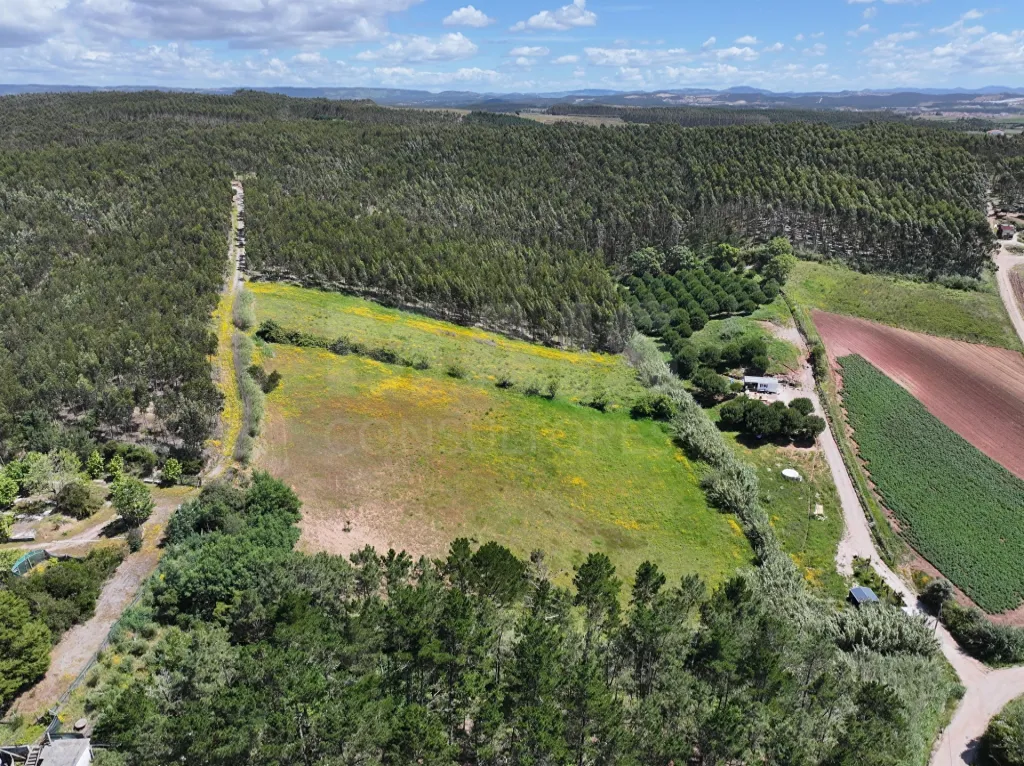 Terreno Rústico c/ 8.440m2