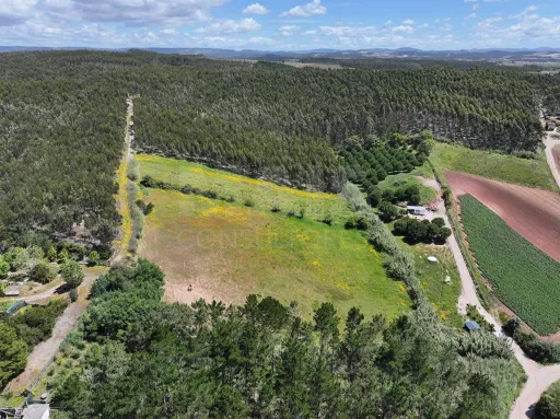 Terreno Rústico c/ 8.440m2