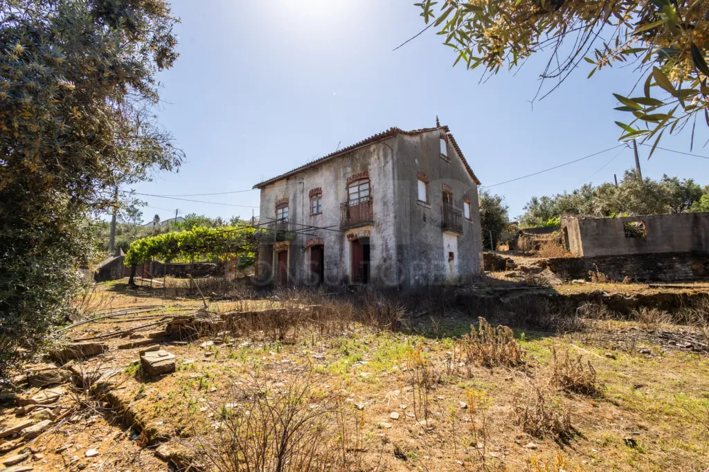 PROPRIEDADE DE CARÁTER NA N2 | 400 m² DE CONSTRUÇÃO, OLIVAL E POTENCIAL TURÍSTICO