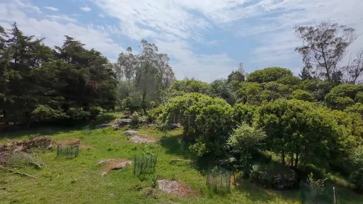 2 Terrenos Confinantes  