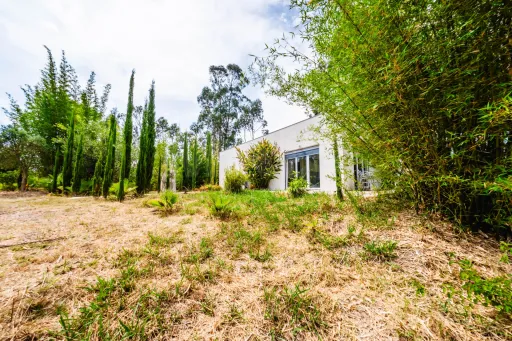 Terreno com 19523m2 com enorme potencial