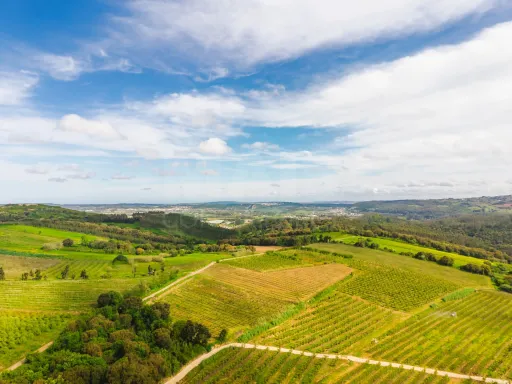 Terreno 2120m2 para construção | Azambujeira dos Carros | Bombarral