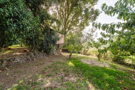 Propriedade única, a apenas 2 km de Alcobaça, com mais de 30.000 m² de terreno