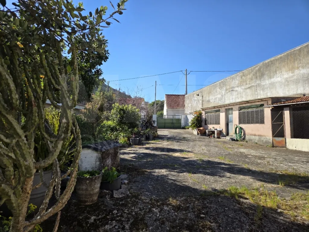 Moradia T3 com Jardim, Anexos e Enorme Potencial – Moitas Vendas