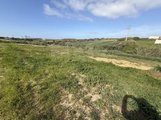 Terreno Rústico Exclusivo com Vista Mar | Natureza e Lifestyle Próximo das Praias de Peniche