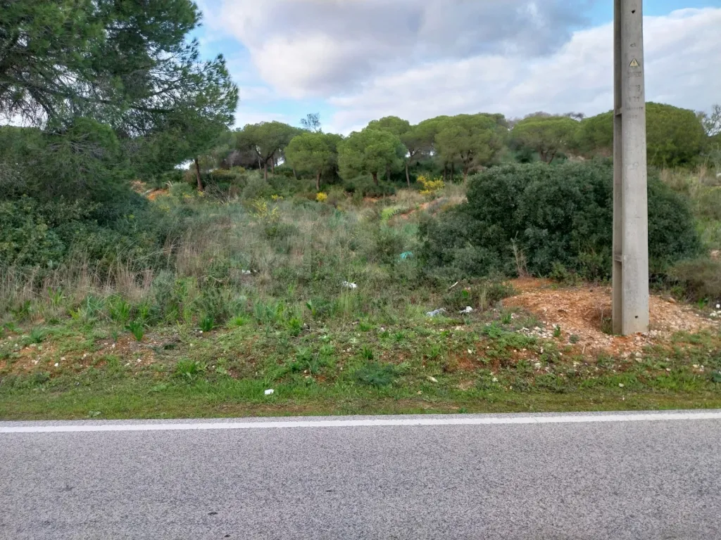 Lote de terreno Rustico com bom acesso e eletricidade
