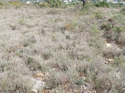 Bonito lote de terreno Rustico