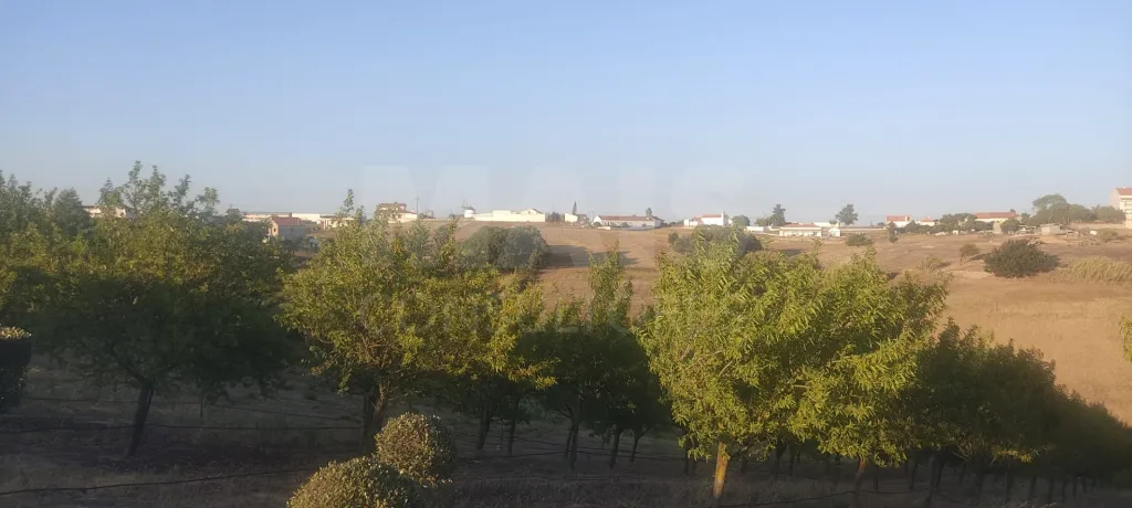Terreno Azambuja -Aveiras de Cima
