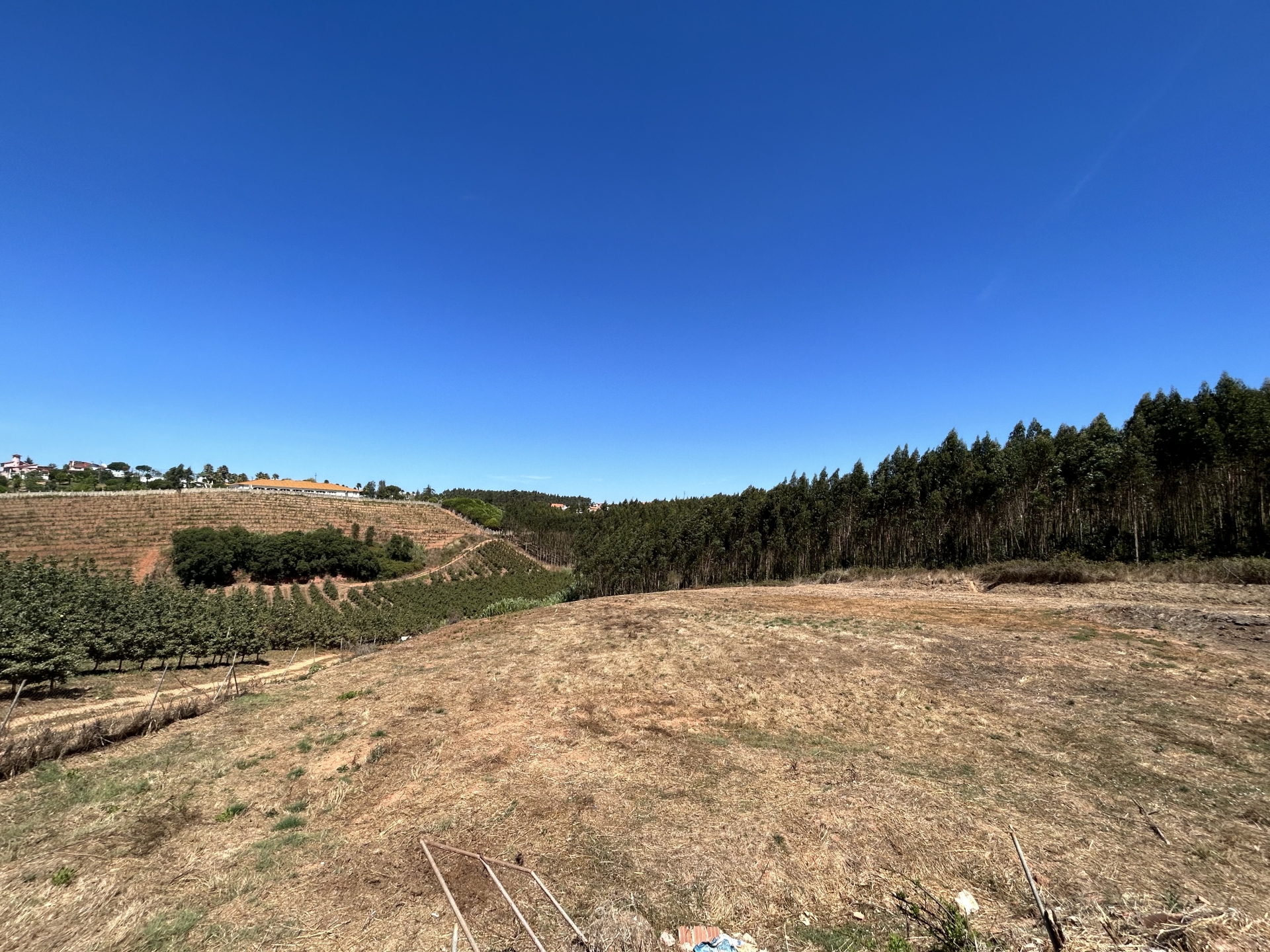 Armazéns +Terreno no Landal, Caldas da Rainha