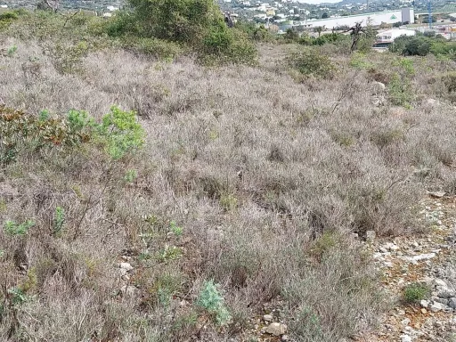 Bonito lote de terreno Rustico
