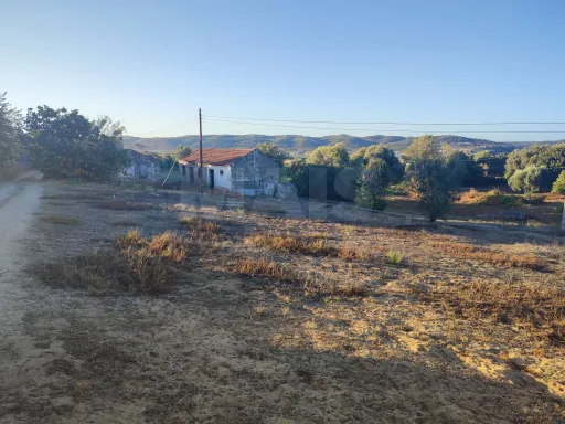 Quinta com moradia para recuperar na zona de Abrantes