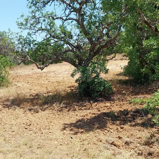 Lote de Terreno Rustico junto á Estrada Nacional 125