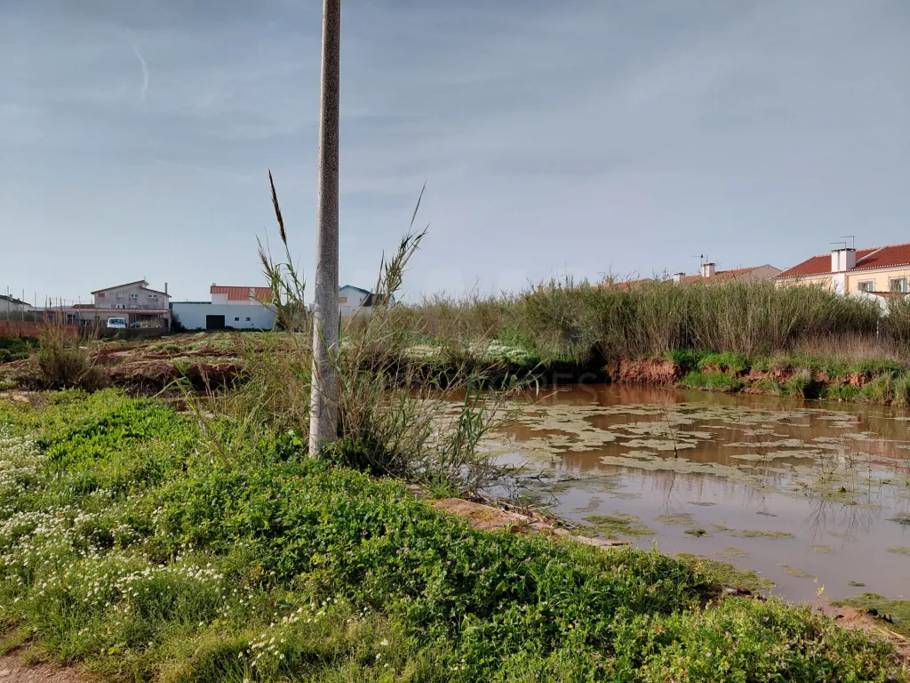 Excelente lote com projeto aprovado para moradia T3 com garagem e piscina