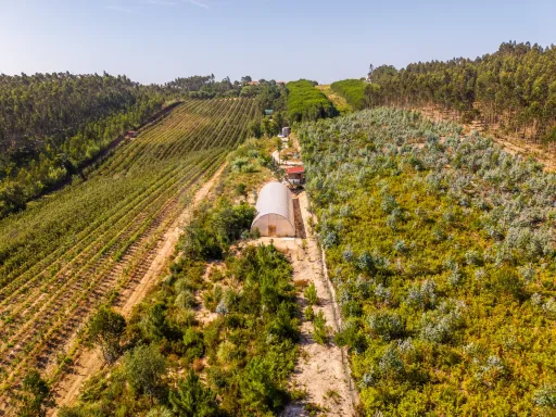 Terreno Agrícola na Fanadia | 16.100 m² de Potencial e Infraestruturas Preparadas