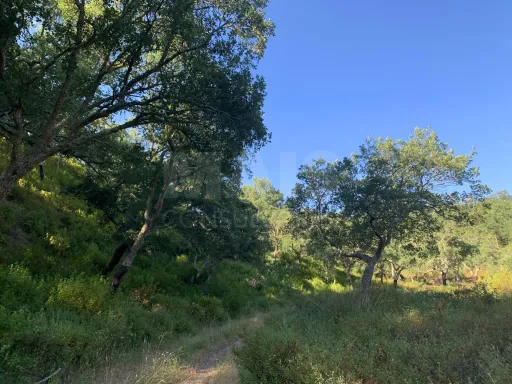 Herdade  com 40,85 hectares em São Bartolomeu da Serra, Santiago do Cacém
