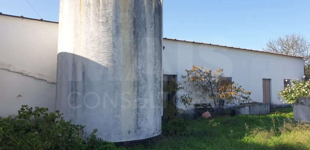 Moradia V 4 + Armazém + Casa Térrea de 45m2 em CASAIS ROMEIROS Santarém