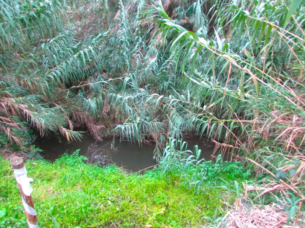 Terreno Misto - 1ha - Torres Vedras - Ramalhal