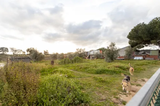 Moradia Térrea V3 com terreno urbano de 3780m2 no Alentejo