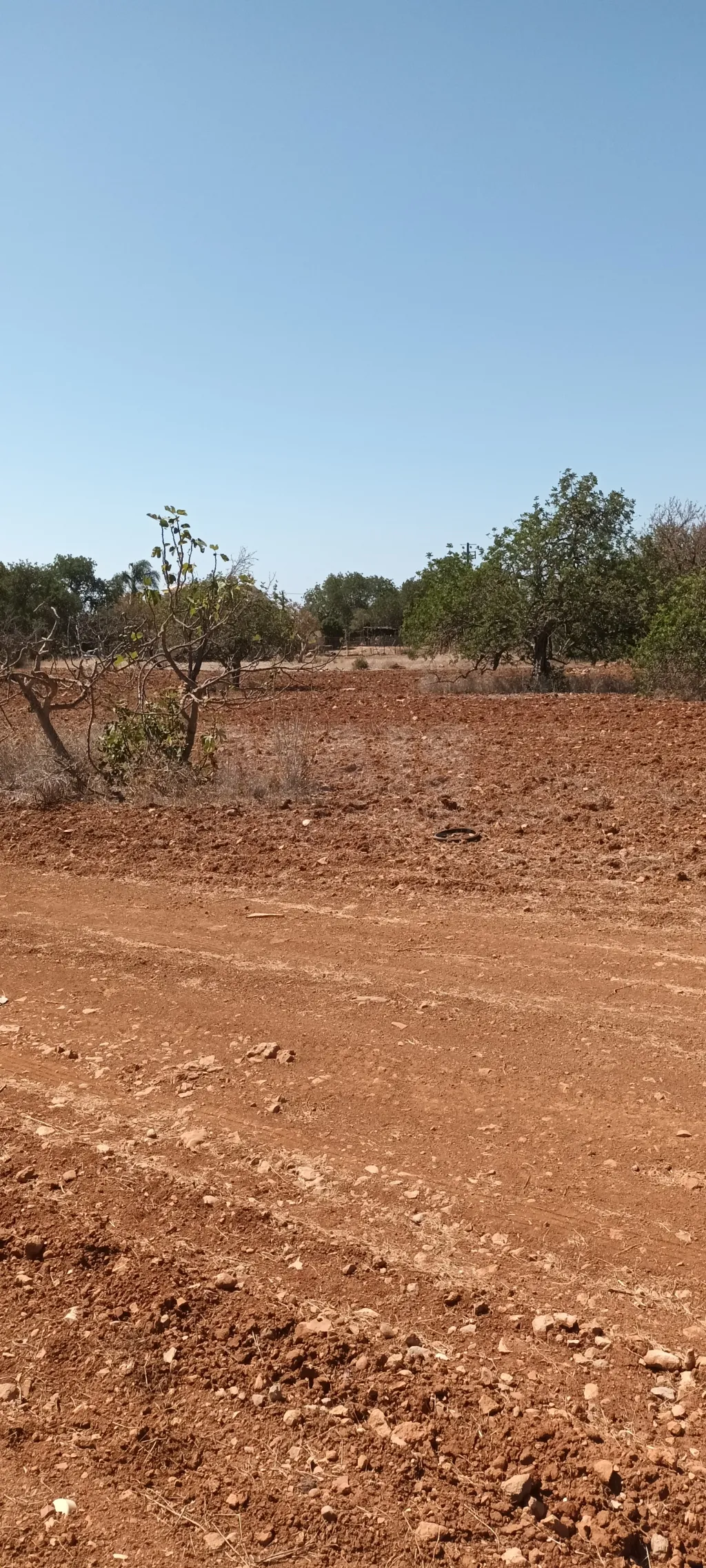 Terreno urbano com ruina / rustico