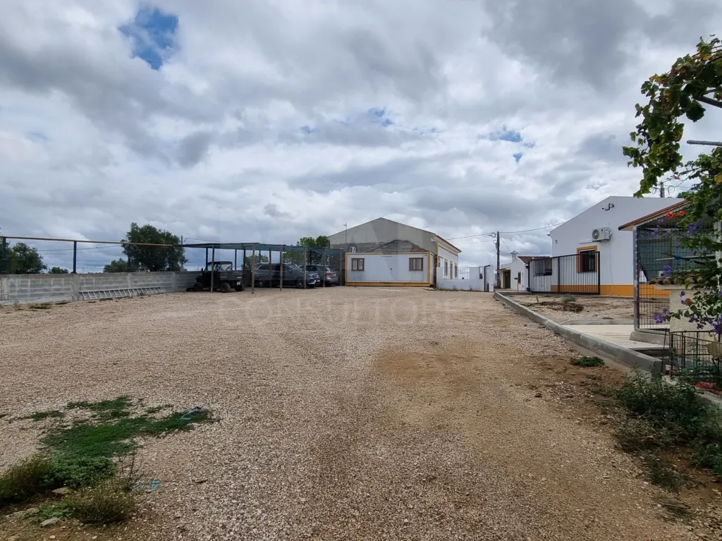 QUINTA, em  Casas Novas  - MOURISCAS -ABRANTES