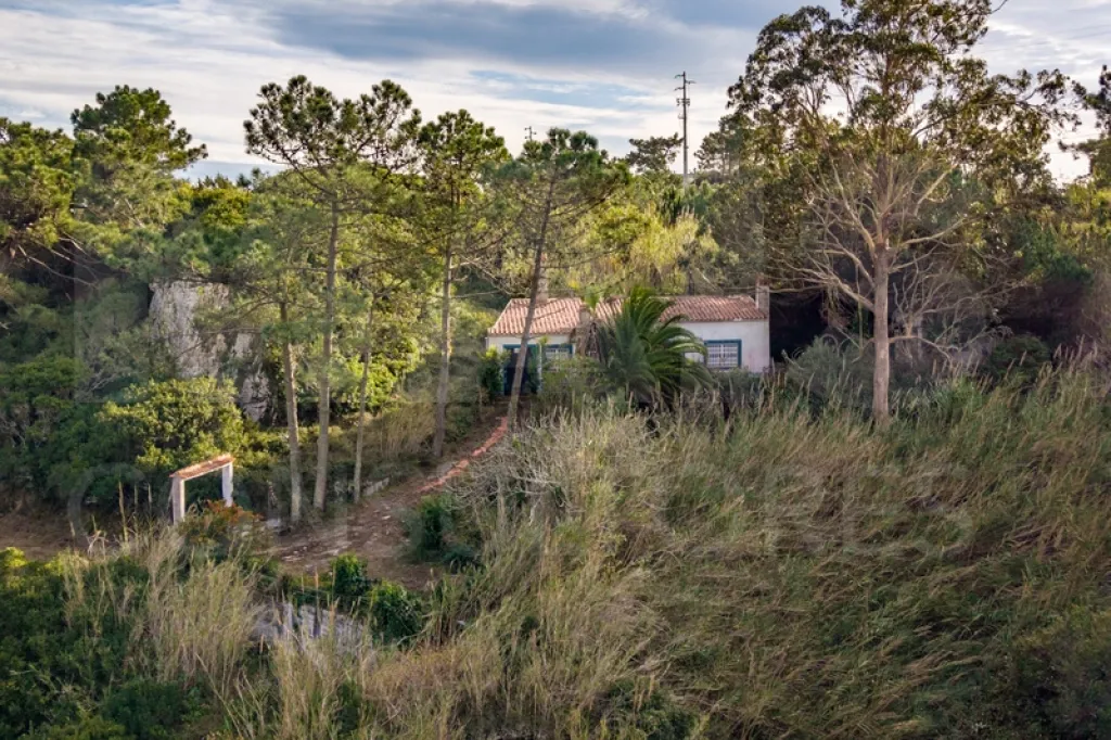 Refúgio Exclusivo na Foz do Arelho: Uma Oportunidade Única de Preservação e Natureza