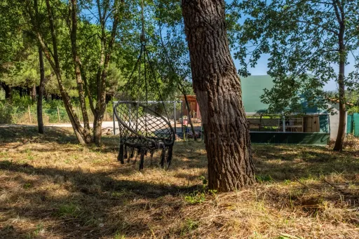 Terreno Agrícola na Fanadia | 16.100 m² de Potencial e Infraestruturas Preparadas