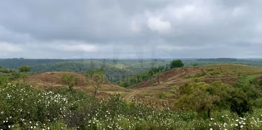 Herdade  com 40,85 hectares em São Bartolomeu da Serra, Santiago do Cacém