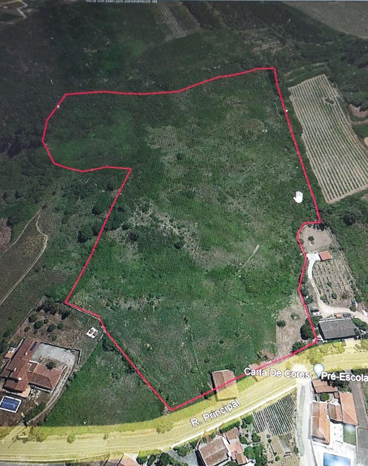 Moradia em Ruina, com Terreno de 48mil m2 em Santo Quintino
