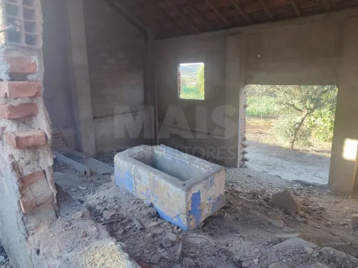 Quinta com moradia para recuperar na zona de Abrantes
