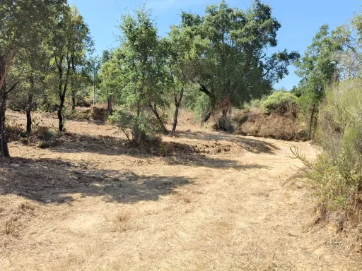 Terreno com 1587m2 para construir