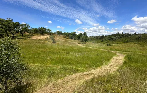 Herdade com 11,6 hectares em São Bartolomeu da Serra, Santiago do Cacém