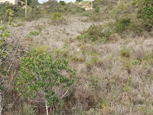 Bonito lote de terreno Rustico