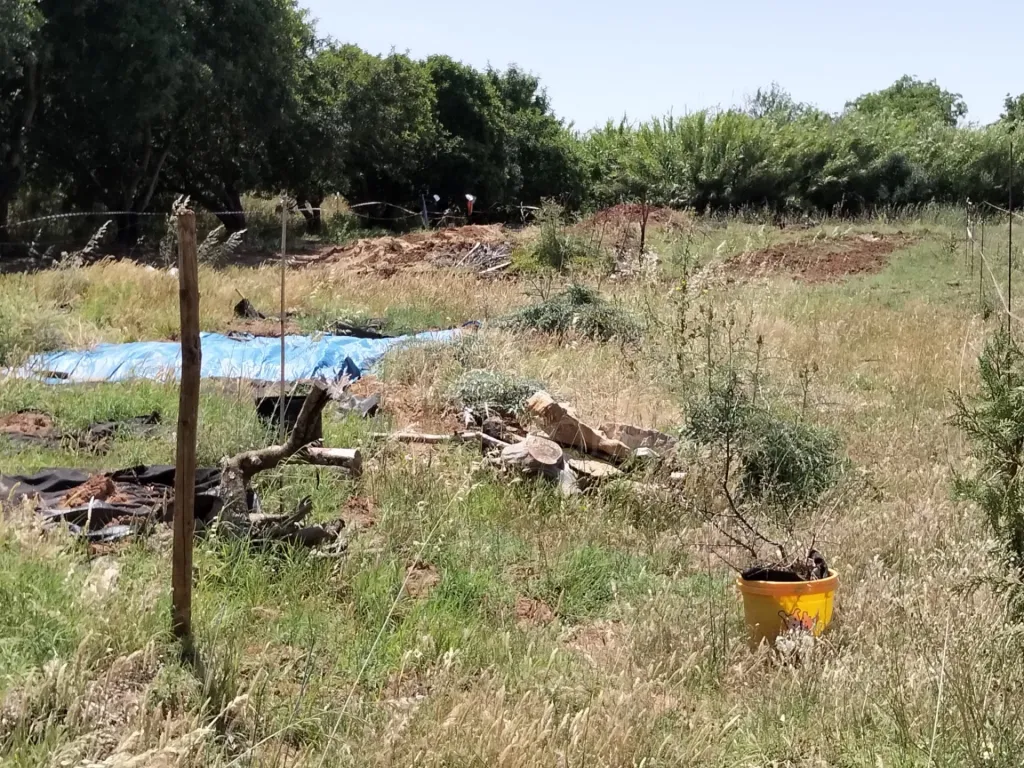 Flat rural lot