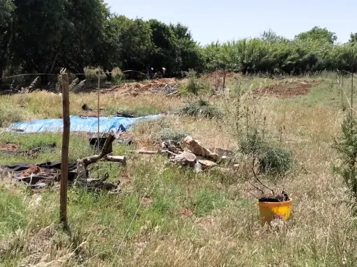 Lote de terreno rústico plano