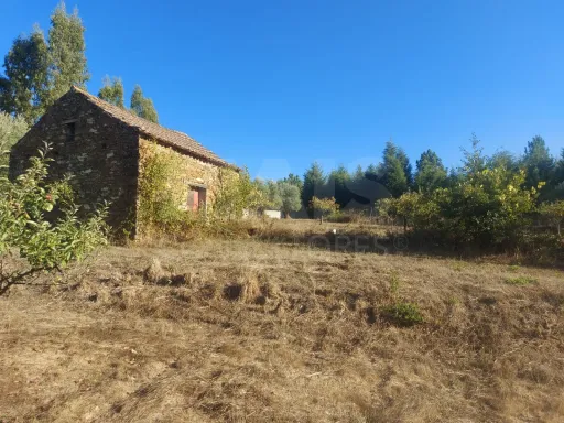 Terreno em meda de mouros com 7 mil m².