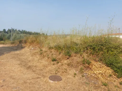 Terreno para construção com 1172 m2- Casal de São João- Côja.