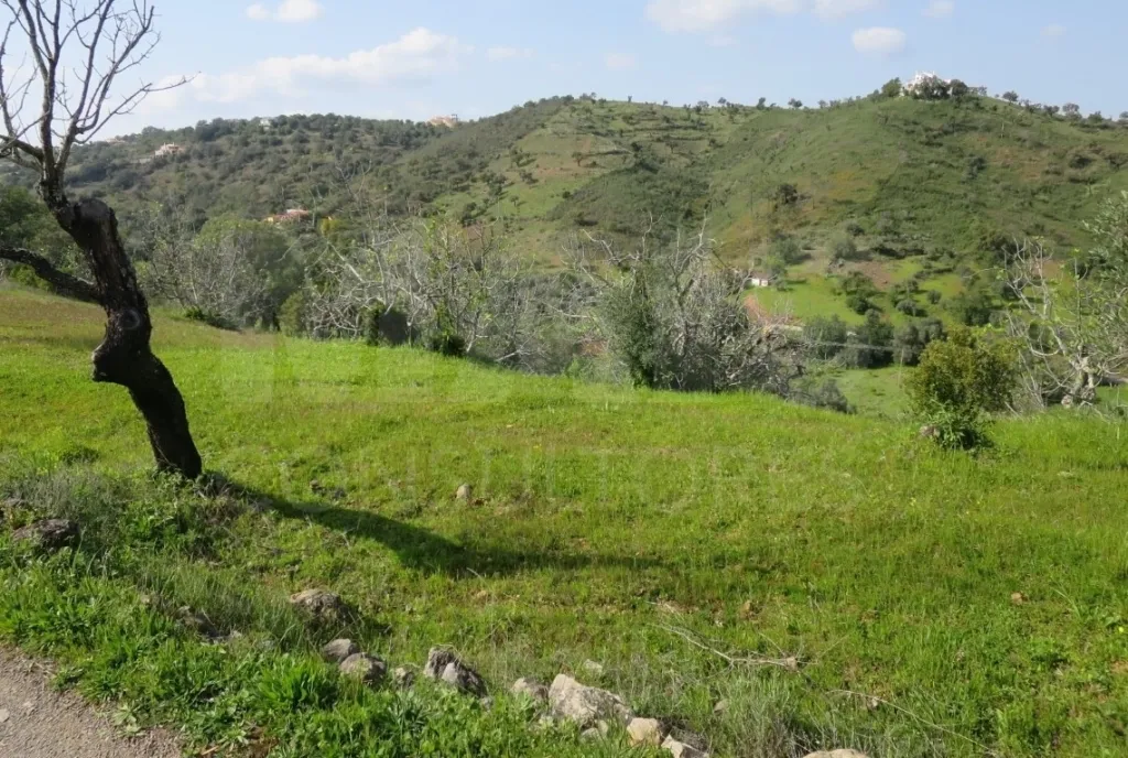 Ruína com 171m2 em terreno urbano com 468,5m2, vista serra e mar, entre São Brás de Alportel e Tavira