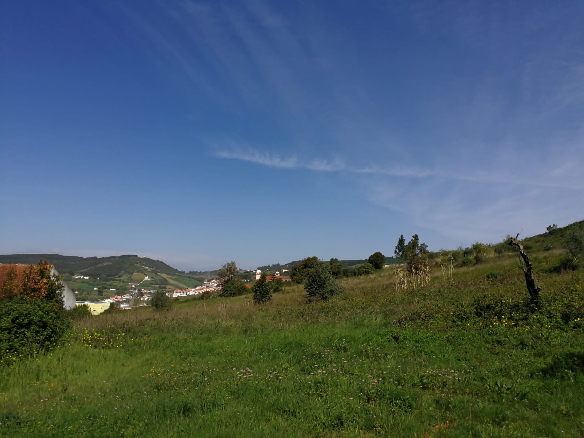 Moradia em Ruina, com Terreno de 48mil m2 em Santo Quintino