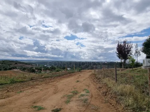 QUINTA, em  Casas Novas  - MOURISCAS -ABRANTES